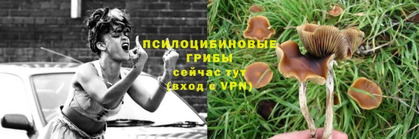 прущая мука Лагань