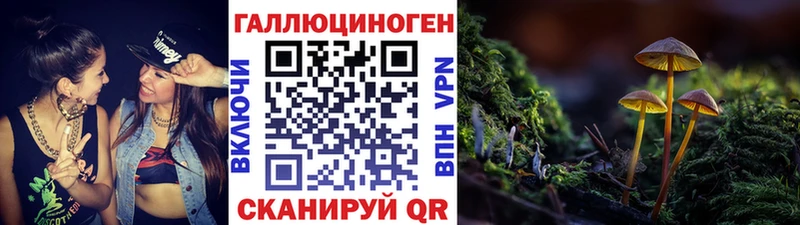 Купить где  Славгород  Галлюциногенные грибы ЛСД 