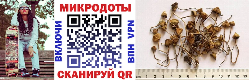 Псилоцибиновые грибы мухоморы Славгород